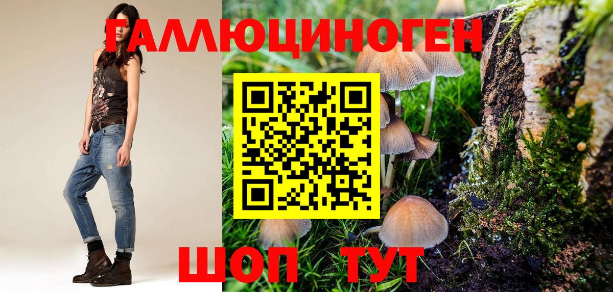 ЭКСТАЗИ  ГАШИШ  Вход с VPN  Зеленогорск  МЕФ  