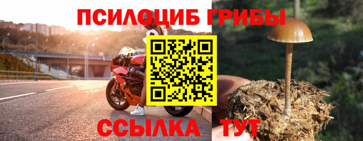 наркошоп  Галлюциногенные грибы Psilocybe  Вход с VPN  Зеленогорск 